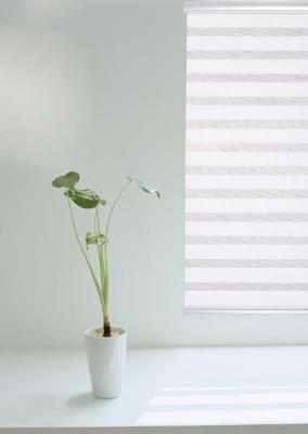 shangri-la blinds, zebra blinds, melaleuca blinds, blackout blinds, roman blinds, woodlook blinds, blind fabric