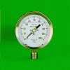 Stainless Steel Pressure Gauge