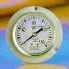 Stainless Steel Pressure Gauge