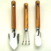 3 Pcs Mini Garden Tools Set