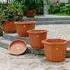 Hexagonal Brick Tree Pot