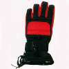 Ski Glove