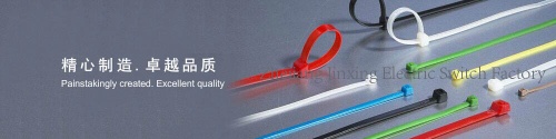 CE-Nylon cable ties