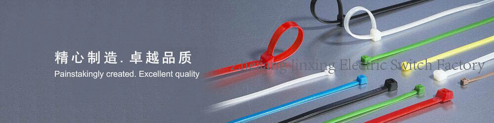 CE-Nylon Cable Ties-www.jx-ele.cn