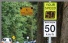 Speed Limit Signs