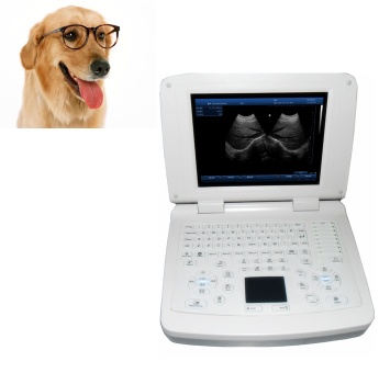 VET Full Digital notebook Ultrasound Scanner/diagnostic ultrasound/ ultrasound machine for sale/ultrasound equipment