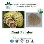 Noni extract powder 10:1