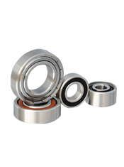 Stainless Steel Deep Groove Ball Bearing