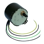 AC Synchronous motor #6007 110/220V