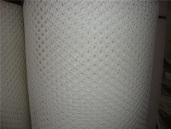 Extruded Plastic Flat Nets Plastic Mesh