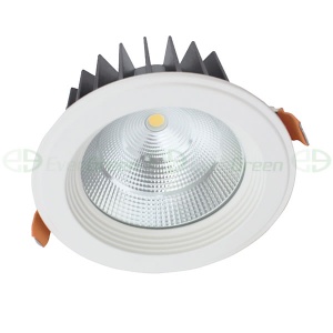 CITIZEN COB 9-54W LED DOWNLIGHT