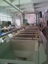 barrel plating line