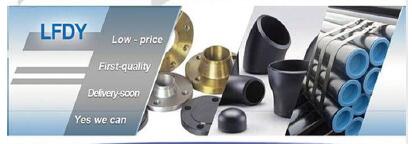 LANGFANG DINGYANG FLANGE PIPE FITTING  CO., LTD