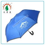 Auto Open 2 Fold Ads Umbrella