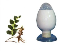 High Quality Polygonum Cuspidatum extract Resveratrol