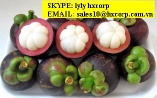 SELL MANGO STEEN.skype: lyly hxcorp