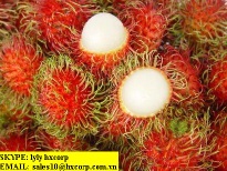 SELL RAMBUTAN FRUIT.skype: lyly hxcorp