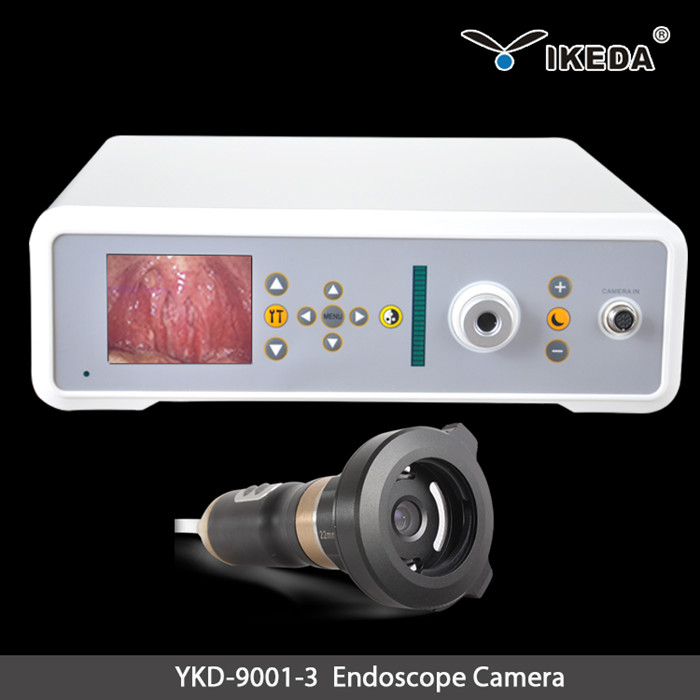 endoscope