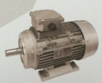 Y2 series three-phase induction motor