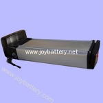 48V 10Ah Electric Bike Battery