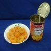 canned apricot