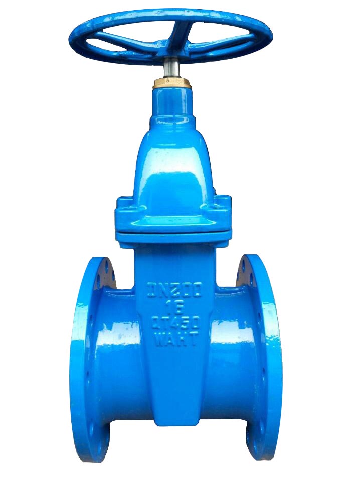 BS gate valve