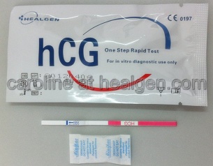 Urine Pregnancy Test Strip