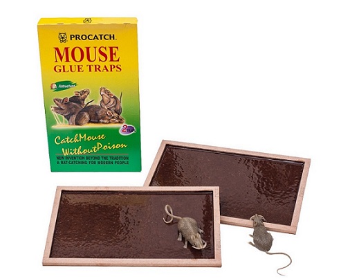 Mouse Glue Trap R-101, R-103