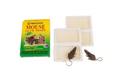 Mouse Glue Trap - R-109