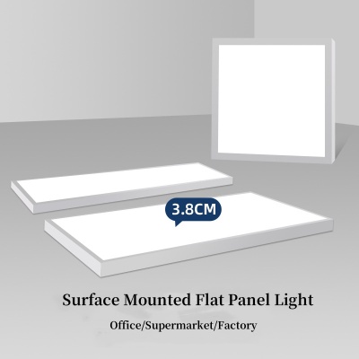 Flat Surface Mounted LED Panel Light 600X600 600X1200 1300X1200 48W 60W 120W Indoor Lighting with High  Quanlity and Good Pri