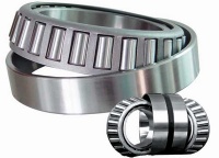 6304 Bearing