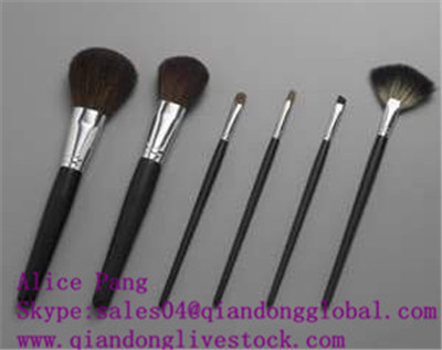 cosmetic brushes