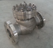 check valve