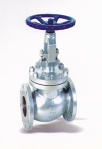 globe valve