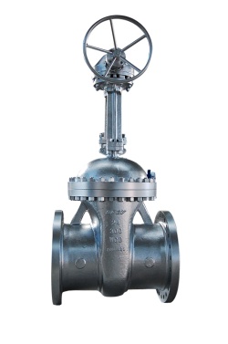 gate valve