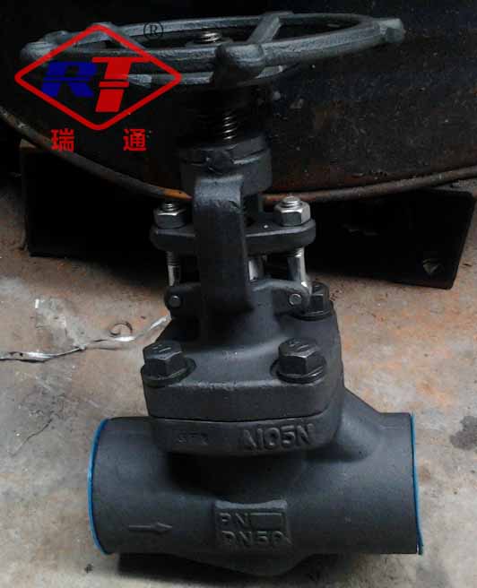 A105 globe valve 800LB