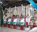 20 Tons Per Day Maize Flour Milling Machine (6FYDT-20)