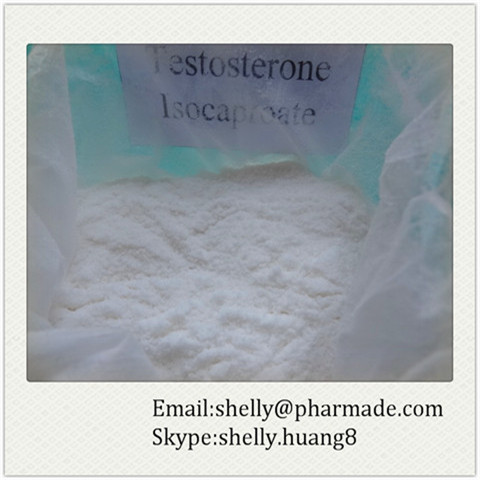 Testosterone Isocaproate