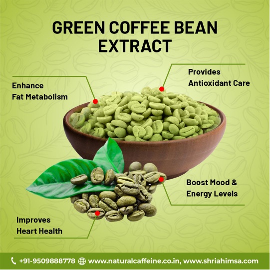 Green Coffee Bean Extract (45% & 50%)