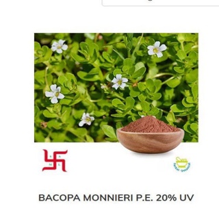 Bacopa Monnieri P.E.20% UV