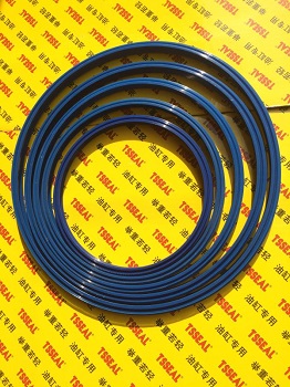 Hydraulic Cylinder Telescopic Seals