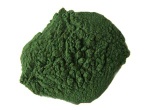 Organic spirulina powder