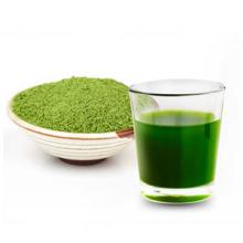 organic barley grass powder