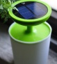 solar landscape lamp      white-green(XSK-L13)