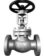 Globe Valve - Wcb