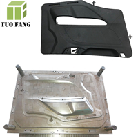 plastic vehicle car door mould/plastic auto car door parts mold maker