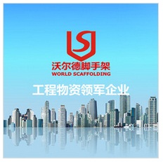 Hunan World Scaffolding Co., Ltd.