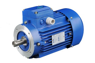 MS Electric Motor