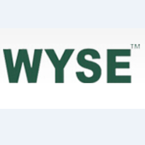 WYSE  INDUSTRIAL（SHENZHEN） CO., LTD