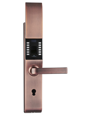 Fingerprint door lock